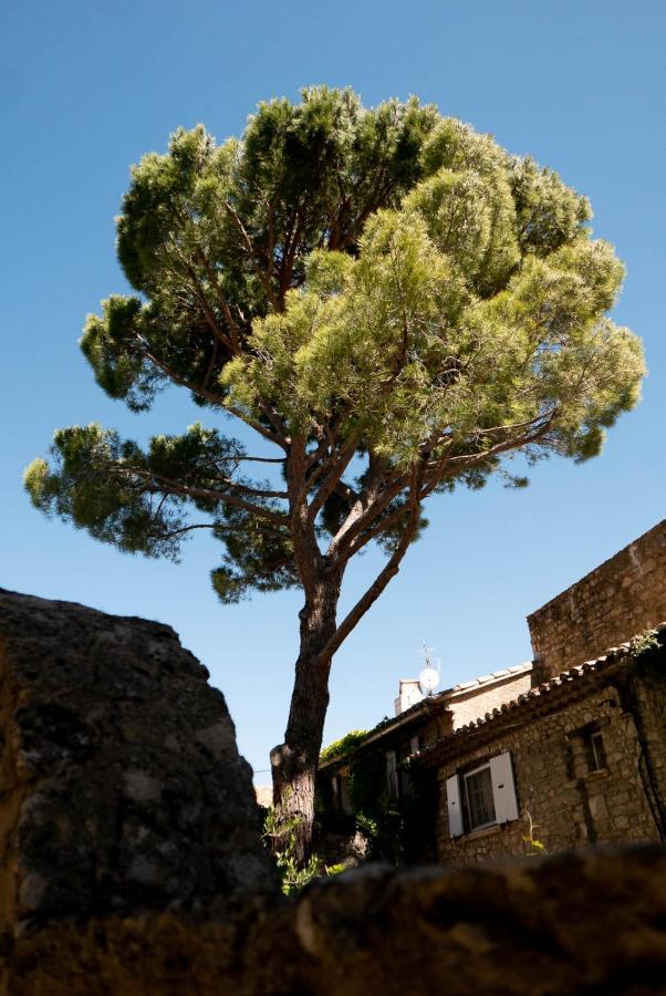 Les Maisons Mado Venasque Extérieur photo